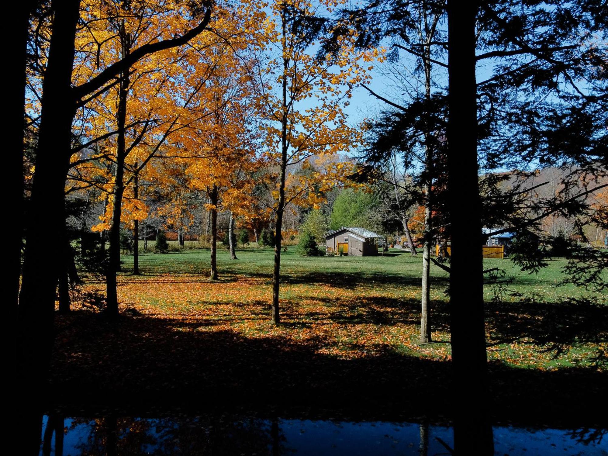 Antrim Streamside Hotel Livingston Manor Exterior photo